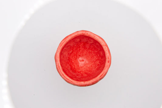 Coral Egg Cup